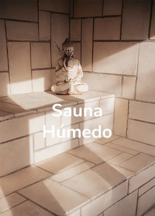 524×731 4